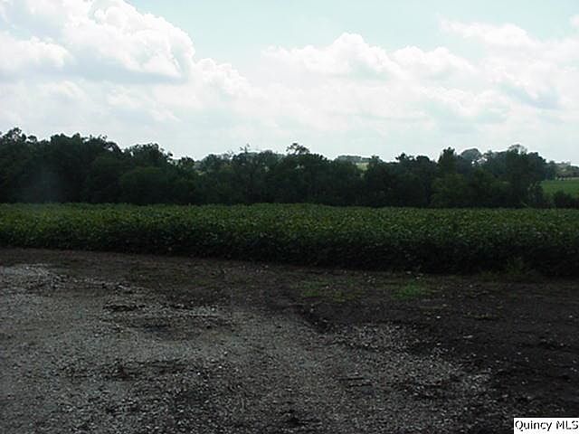2nd image of 1601 Highway 61