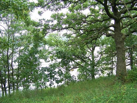 Top of slope towards lake.