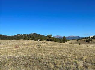 695 Singletree Ct, Hartsel, CO 80449