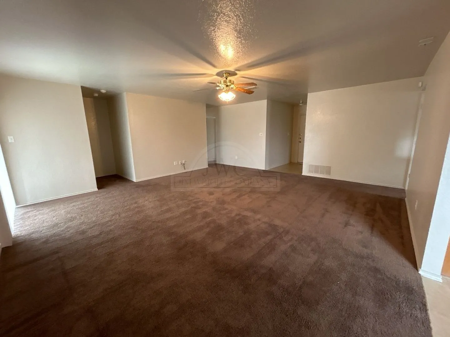 2509 Big Leaf, Killeen — Photo 4