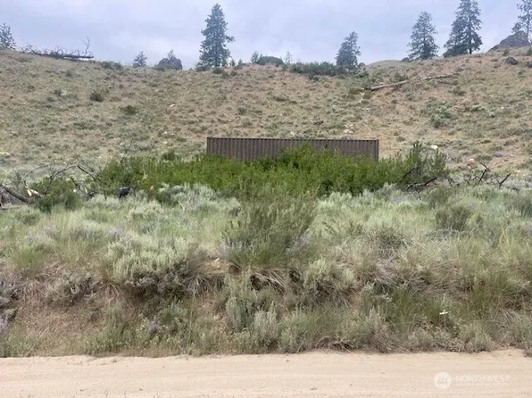 0 Spring Canyon Rd., Orondo, WA 98843