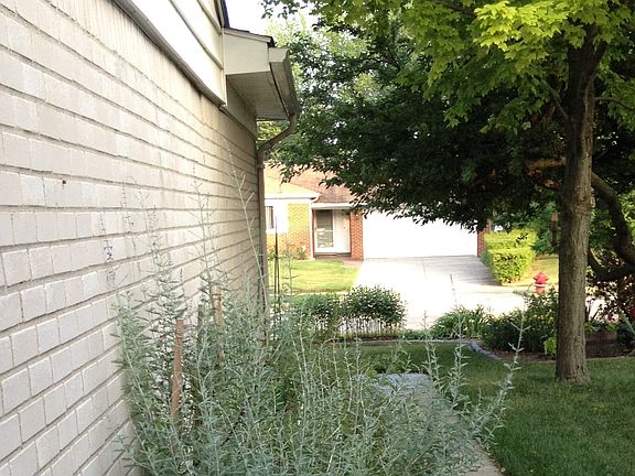 Side yard