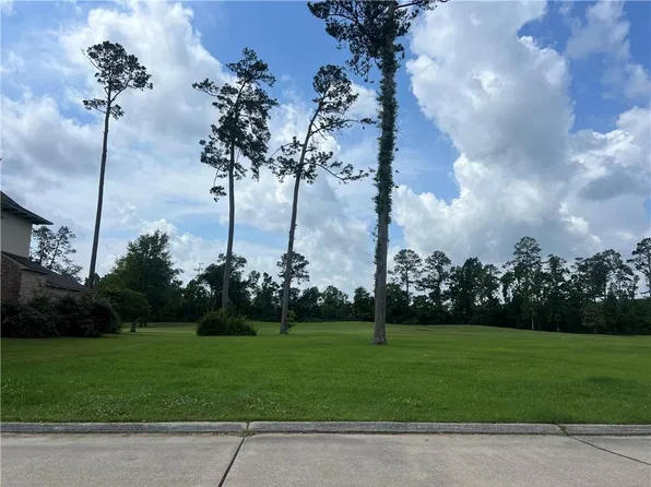 24215 Snowy Egret Cv, Springfield, LA 70462