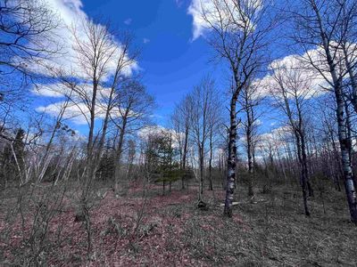 Nejedlo Rd #3, Wausaukee, WI, 54177