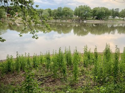 Par 1131151003/1036277002 Regan Rd, Rock Falls, IL, 61071