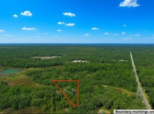 LOT 1 Chipstone St LOT 1, Webster, FL 33597