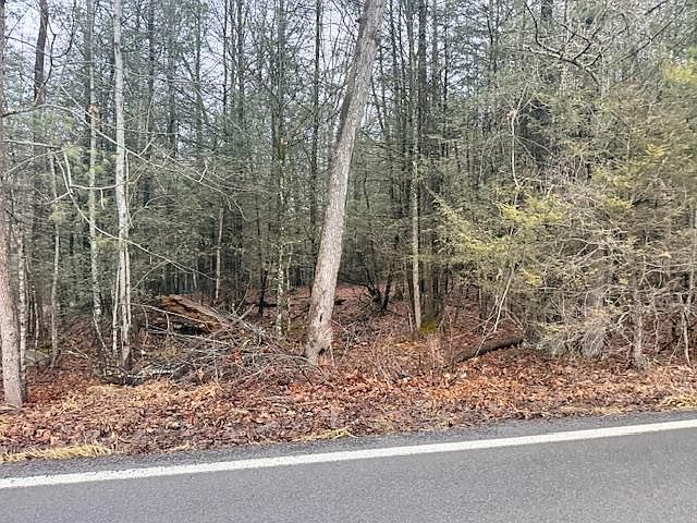2nd image of C & O Dam Rd
