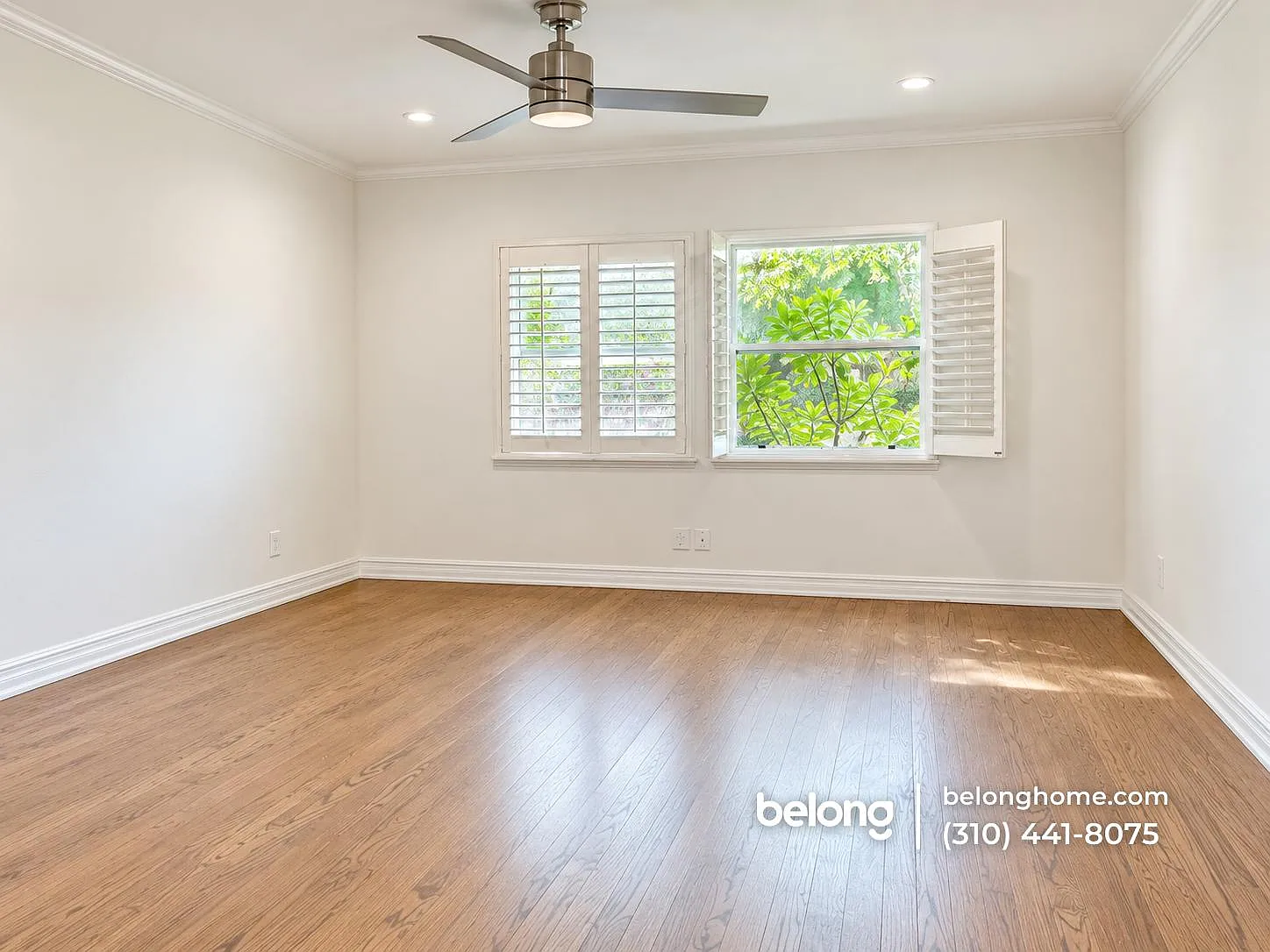 2 bed, 1.5 bath, 906 sqft, $3,200 — Photo 4