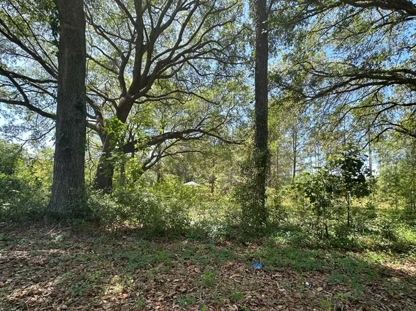 15297 117th Rd, Mc Alpin, FL 32062