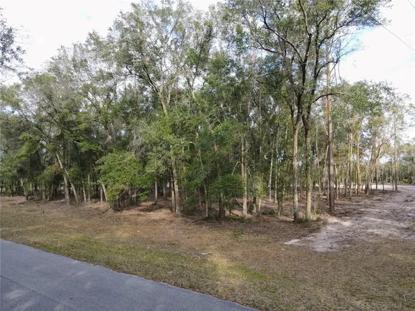 Rachel Ln, Eustis, FL 32736