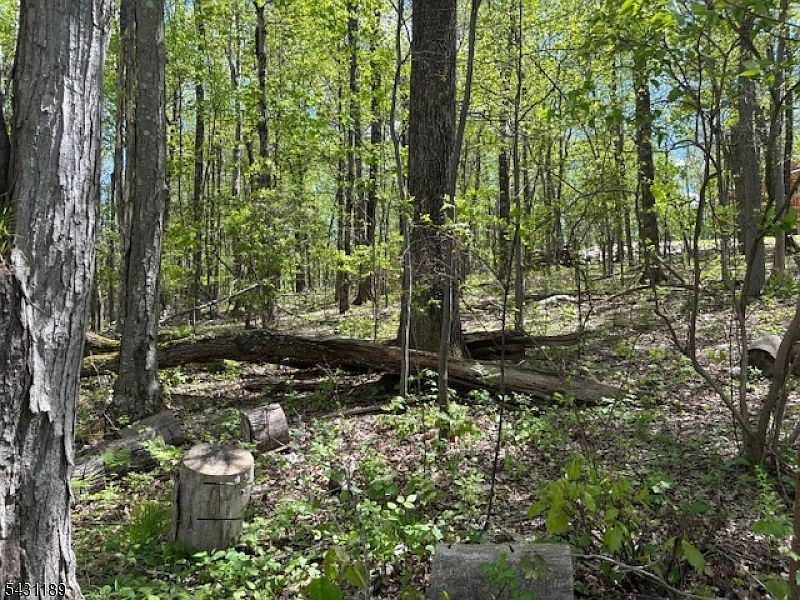 2nd image of 132 Mary Jones Rd
