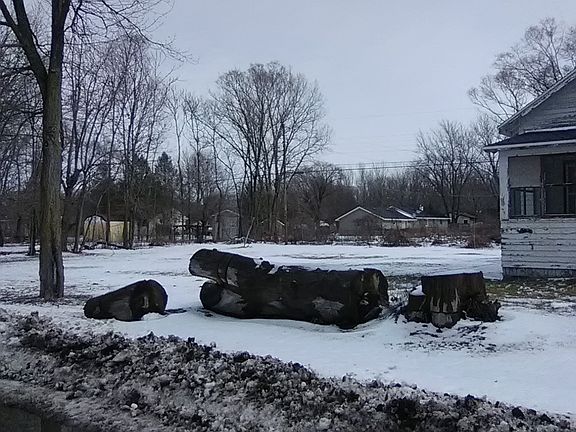 5th image of 1057 Thomas Ave