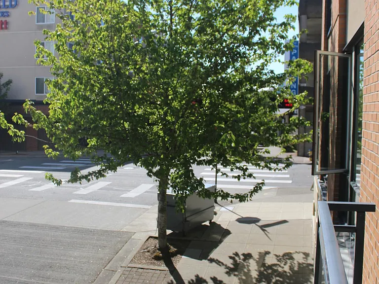 400 Washington Ave #111 — Photo 27