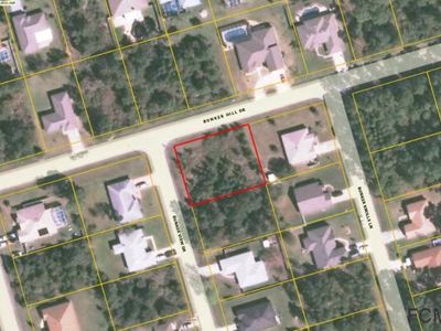 1 Bunker View Dr, Palm Coast, FL, 32137