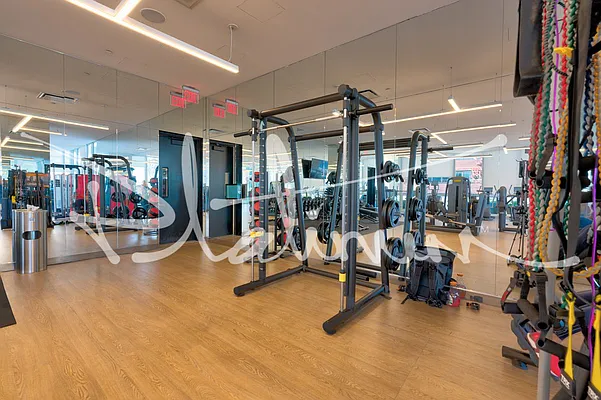 Rented by Platinum Properties | media 11