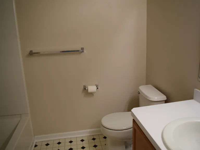Hall Bathroom