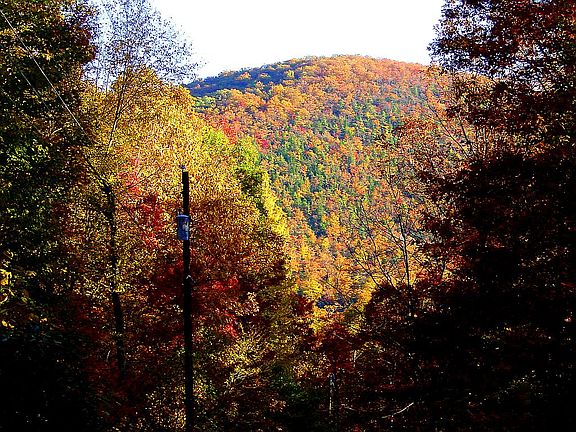 Scene from driveway north