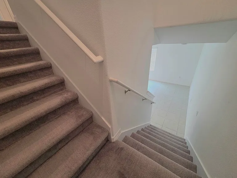 2787 Red Egret Dr — Photo 14