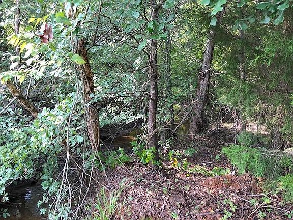 3rd image of 11499 County Road 3102