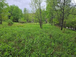 Mead Hollow Rd, Little Genesee, NY 14754