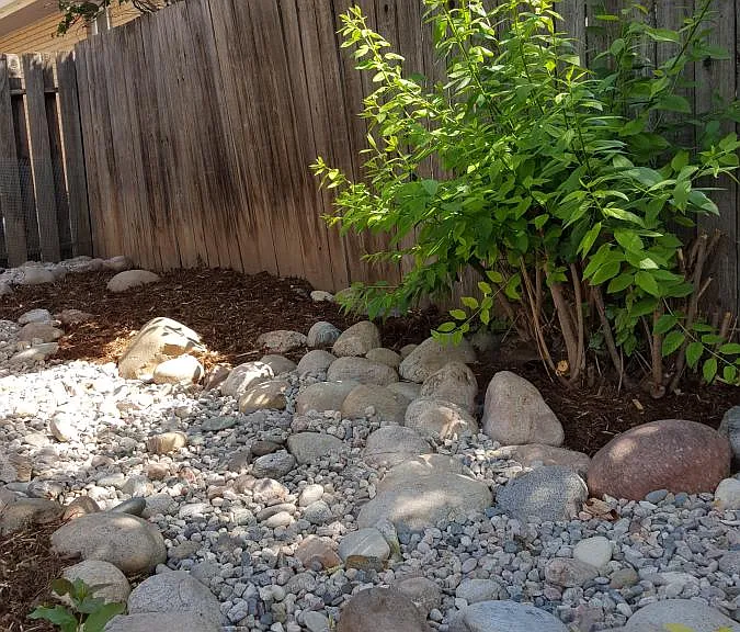 Back yard.