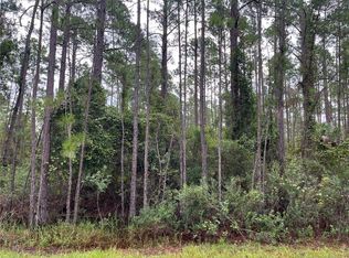 363 S Carolina St #72, Hawthorne, FL 32640