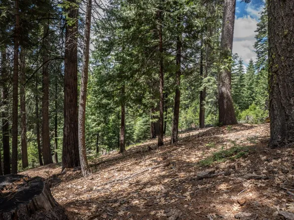 4648 Jibway Dr, Camp Connell, CA 95223
