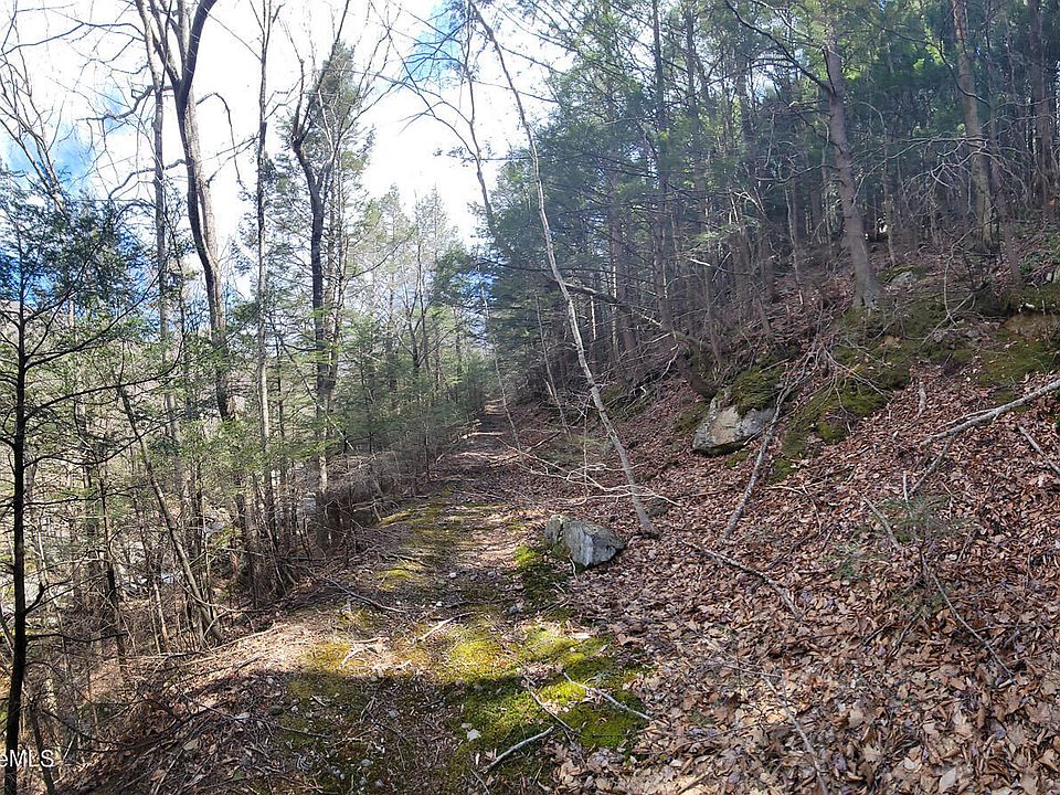 2nd image of Rowe Rd
