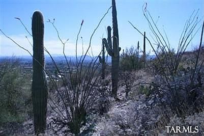 5th image of 6952 N Finger Rock Pl
