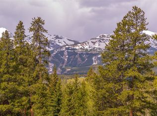 20 Rounds Rd, Breckenridge, CO 80424