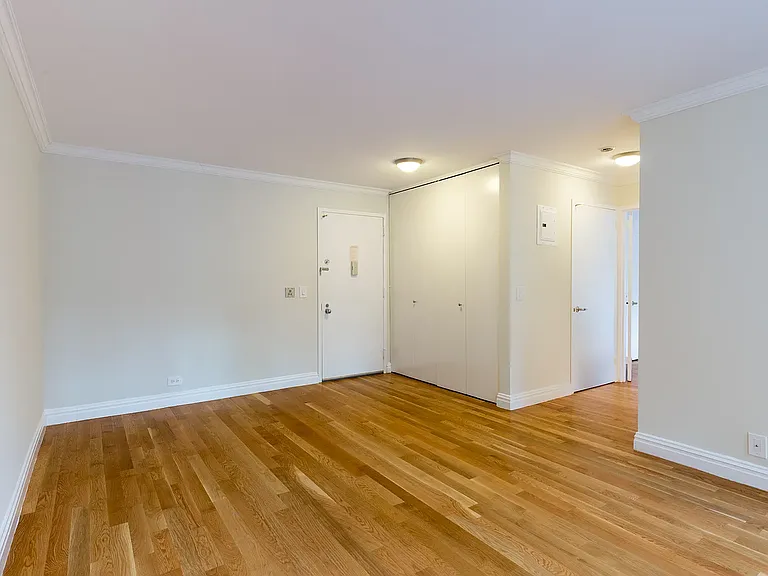 235 W 48th St #14N — Photo 2