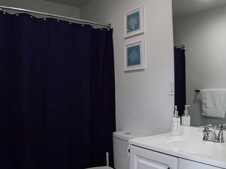 First floor hall bath with shower/tub