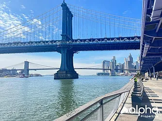 Rented by Alpha Properties NYC I LLC