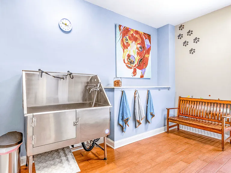 Elan at Mallard Creek Apartment Homes — Photo 50