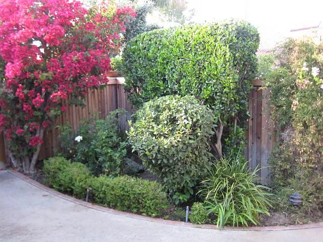 14 Dewberry Way — Photo 13