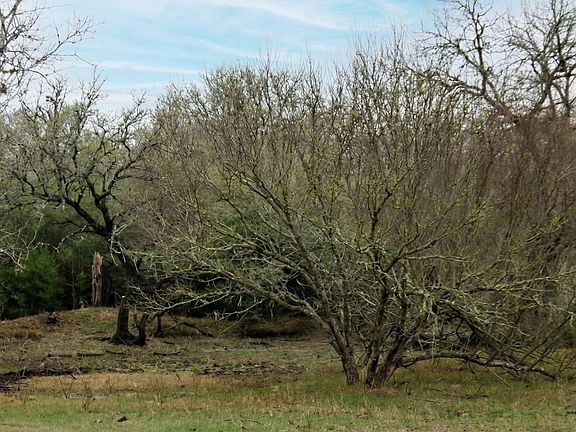 4th image of 5020 Metting School Rd