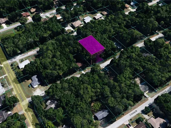 6375 E Glover St, Inverness, FL 34452