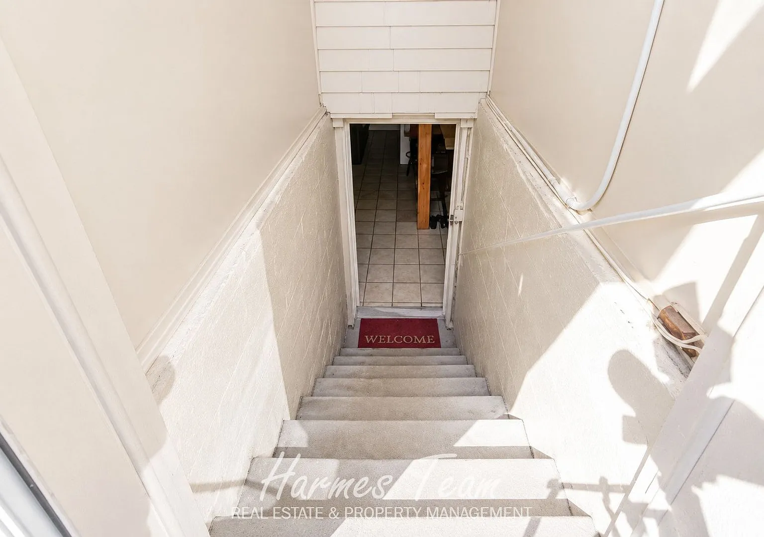 Spacious Basement Apartment with Private Entrance, Full Kitchen & In-Unit Laundry — Photo 3