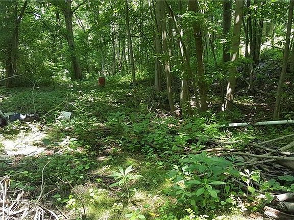 Nice, flat, cleared area for possible home site or beautiful yard.