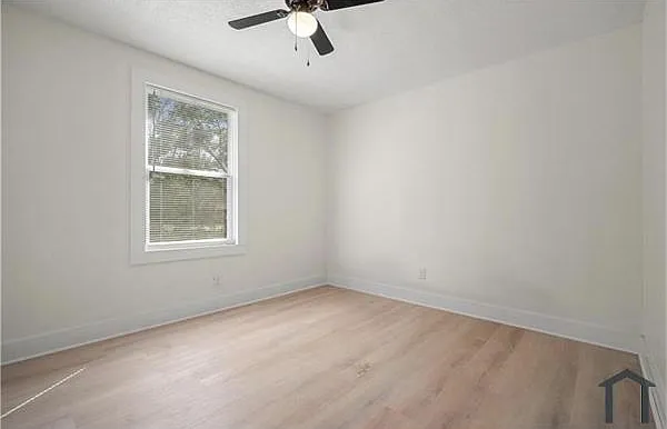 1113 Kelly St — Photo 5