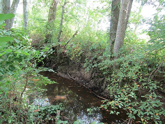 3rd image of 0 Roberts Creek Cir Lot 22