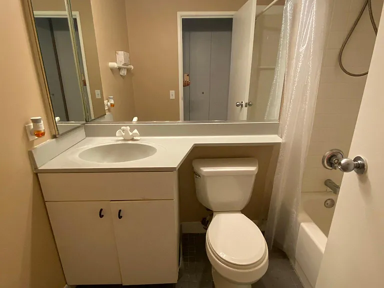 3660 N Lake Shore Dr #3309 — Photo 14
