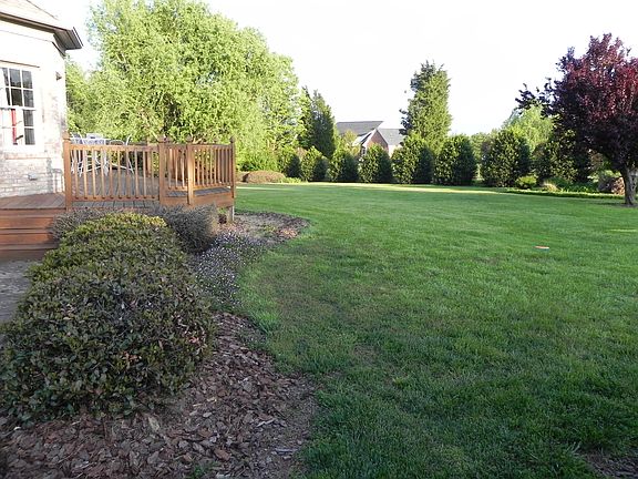 Backyard view from pool gate