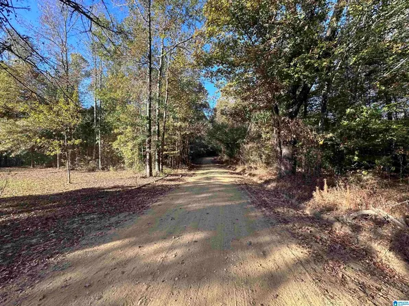 3 County Road 176 #5484, Clanton, AL 35046
