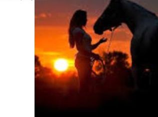 13386 Hill Rd, Eaton, CO 80615