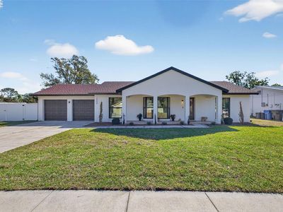 13933 Cherry Creek Dr, Tampa, FL, 33618