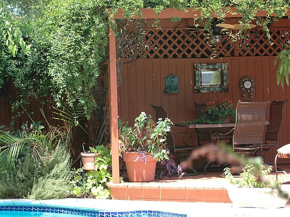 Carolina jasmine draped arbor