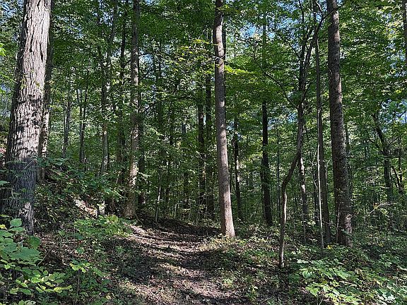 Trail