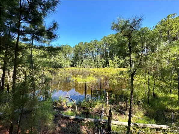 Pinewood Trl, Sanford, NC 27332