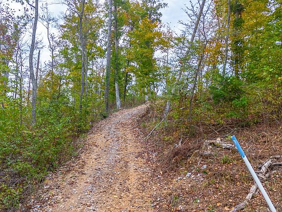 4th image of 0 Ross Hollow Rd